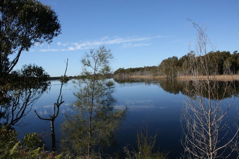 Kayaking Corunna Lake - Tourism Noosa 0