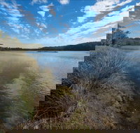 Lake Innes Nature Reserve - Tourism Noosa