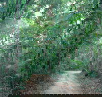Lawn Hill - Tourism Noosa