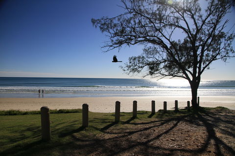 Minnie Water - Tourism Noosa 0