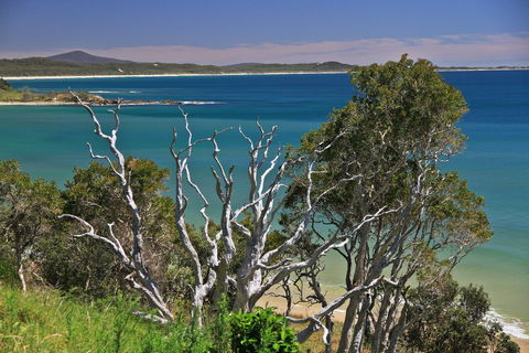 Minnie Water - Tourism Noosa 2