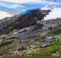 Mount Stillwell walk - Tourism Noosa