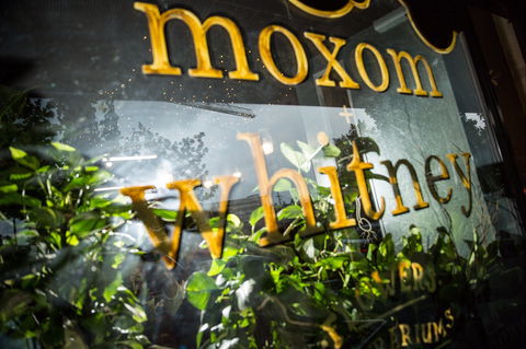 Moxom And Whitney - Tourism Noosa 2