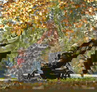 Noreuil Park - Tourism Noosa