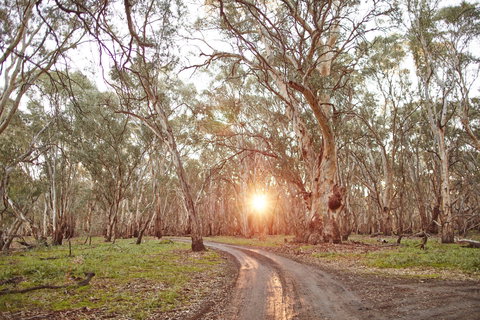 Nyah Vinifera Park - Tourism Noosa 1