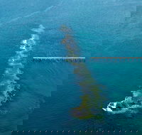 Port Noarlunga Reef Sanctuary Zone - Encounter Marine Park - Tourism Noosa