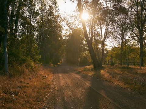 Raysource Road - Tourism Noosa 1