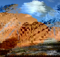 Red Banks Conservation Park - Tourism Noosa