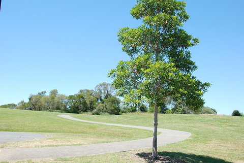 Samford Valley Rail Trail - Tourism Noosa 2