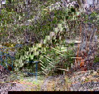 Sawpit Walking Track - Tourism Noosa