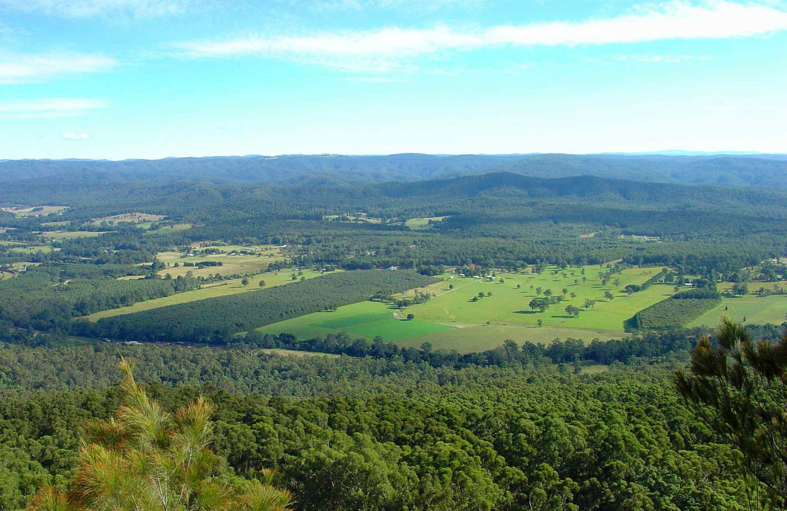 Bucca NSW Tourism Noosa