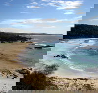 Snorkelling Mystery Bay - Tourism Noosa
