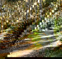 Square Head Track 2 - Tourism Noosa