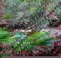 Sugar Creek Picnic Area - Tourism Noosa