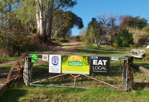 Taralee Orchards - Tourism Noosa 0