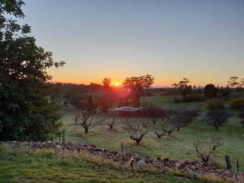 Taralee Orchards - Tourism Noosa 1