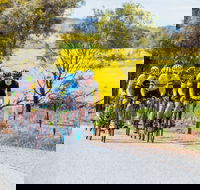 The Heron's Highway - Avon River Cycle Trail - Tourism Noosa