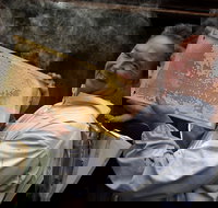 The House of Honey - Tourism Noosa