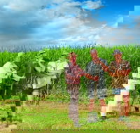 The Shed Gallery - Tourism Noosa