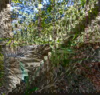 Thylogale Track - Tourism Noosa