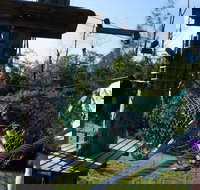 Trees Adventure - Lane Poole Park - Tourism Noosa