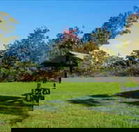 Tunks Hill picnic area - Tourism Noosa