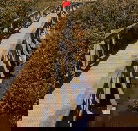 Warringine Park  Bittern Coastal Wetlands Boardwalk