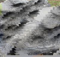 Windara Reef - Tourism Noosa