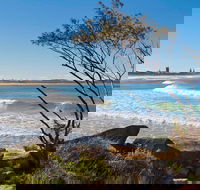 Wooli to Red Rock Walk - Tourism Noosa