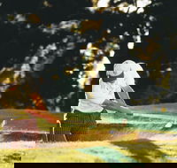 Aberdeen Golf Club - Tourism Noosa