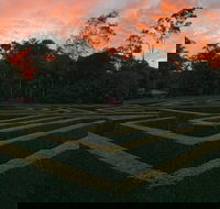 Bellingham Maze - Tourism Noosa