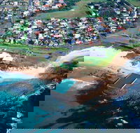 Bulli - Tourism Noosa