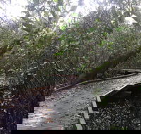Carole Green Walkway - John Oxley Reserve - Tourism Noosa