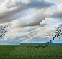 Clare Valley - Tourism Noosa