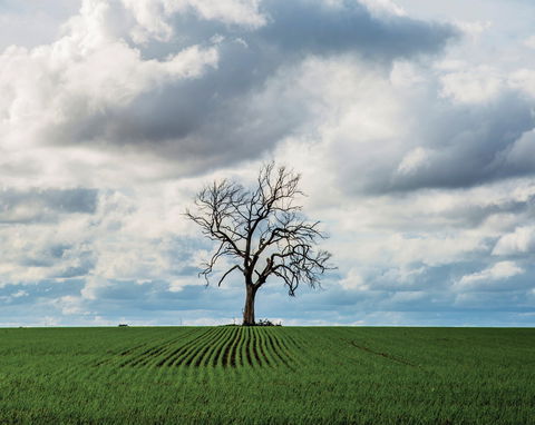 Clare Valley - Tourism Noosa 0