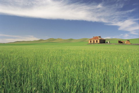 Clare Valley - Tourism Noosa 1