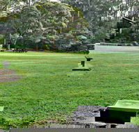 Cottonwood Glen Picnic Area - Tourism Noosa