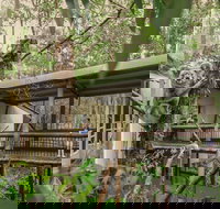 Daisy Hill Koala Centre - Tourism Noosa