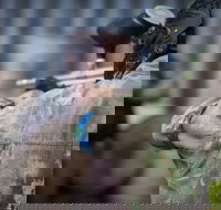 Delta Force Paintball - Tourism Noosa