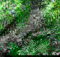 Djiru National Park - Tourism Noosa