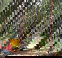 Dwellingup - Tourism Noosa