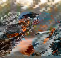 Echuca Paintball Games - Tourism Noosa