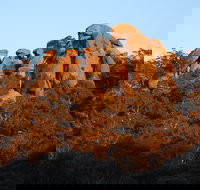 Evans Crown Nature Reserve - Tourism Noosa