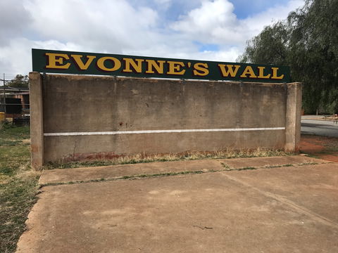 Evonne Goolagong-Cawley Wall - Tourism Noosa 1