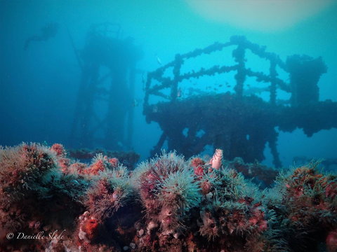 Ex HMAS Adelaide - Tourism Noosa 0