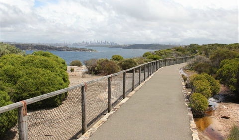 Fairfax Walk - Tourism Noosa 0