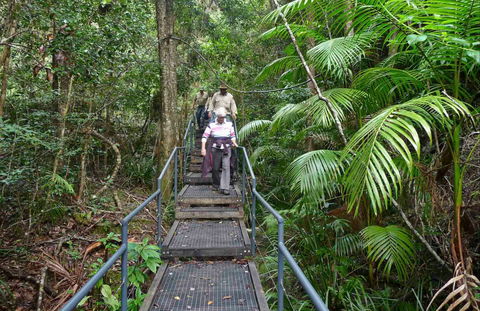 Falls Walking Track - Tourism Noosa 0