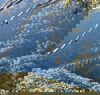 Forest Walk to Sublime Point Track - Tourism Noosa