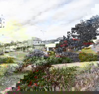 Gin Gin - Tourism Noosa