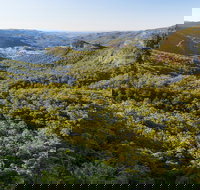 Gold Coast Hinterland Great Walk - Tourism Noosa